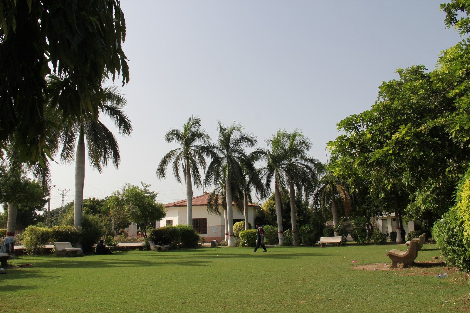 Patient Ward